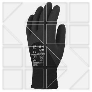 EUROWINTER 6610 - Image